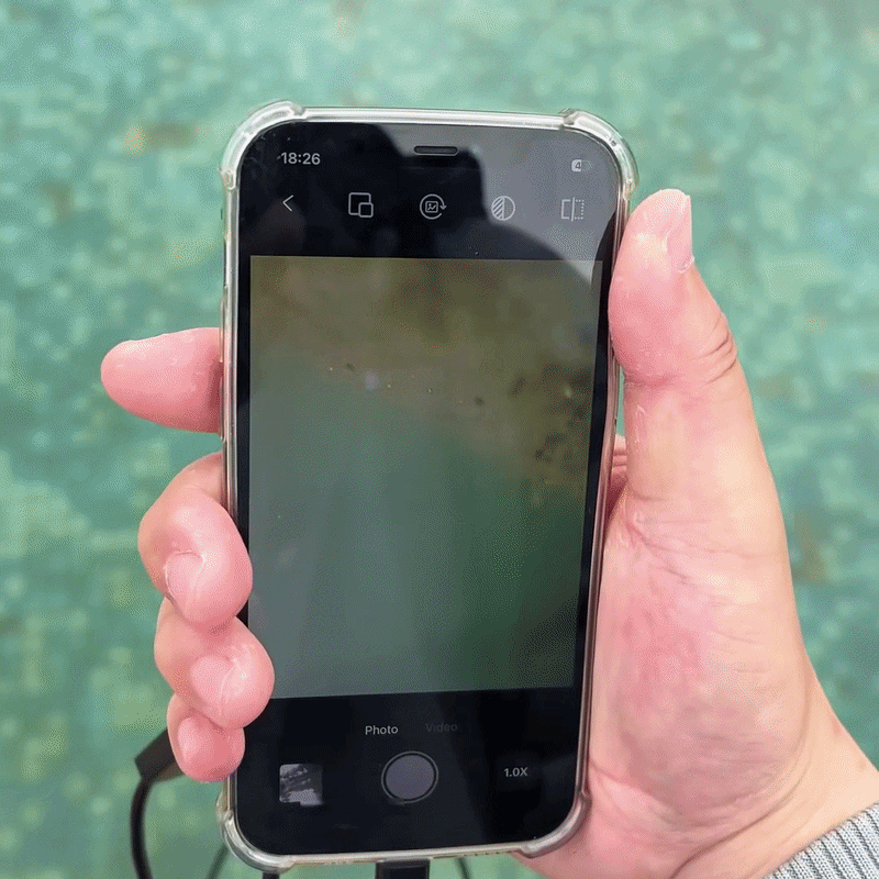 Se præcis, hvad der sker – direkte på mobilen
